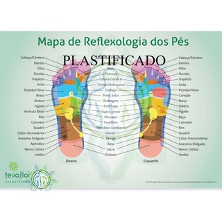 Mapa de Reflexologia dos Pés / Reflexologia Podal