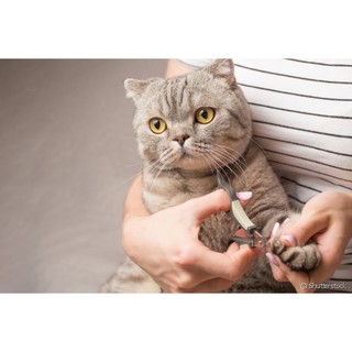 Tesoura Pet Cortador De Unha Para Pets Cães Gatos E Aves Pratico (2)