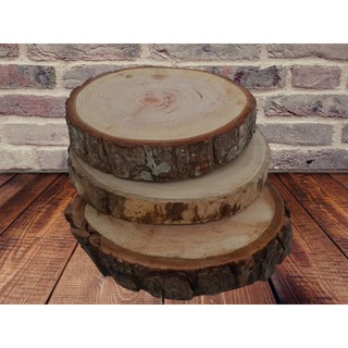1 bolacha de madeira 16 cm+2 de 7cm lixadas tronco aniversário festas suporte (1)