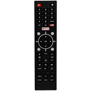 Controle Remoto para Tv Semp CT-6810 (1)