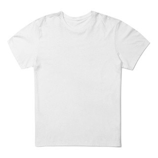 Camiseta Masculina Lisa Básica 100% Algodão (9)
