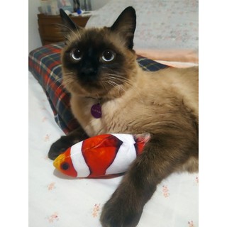 Brinquedo Peixe de Pelúcia para Gato com Catnip | Ronrom Pet (2)