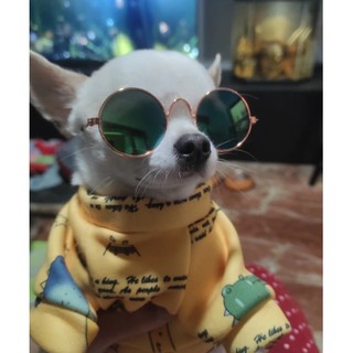Óculos de Sol para Gatos e Cachorros Pequenos | Ronrom Pet (5)