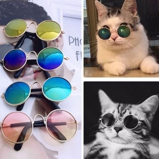 Óculos de sol para animais de estimação, óculos de fotos para cães / gatos, acessórios para animais de estimação (7)