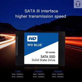 Western Digital WD Blue 1TB PC SSD 3D NAND SATA3 6GB/s 2.5 Inch Solid State Drive Hard Disk for PC Laptop (WDS100T2B0A) (9)
