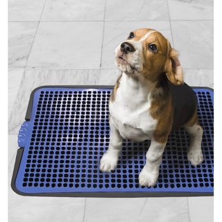Sanitário Para Cães Lavável Banheiro Pipi Fácil Dog Promoção Envio Imediato