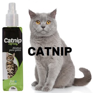 Catnip Erva do Gato Spray Pet Clean 120ml (4)
