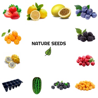 Kit Personalizado de Sementes de Frutas 18 Tipos - Monte sua Horta