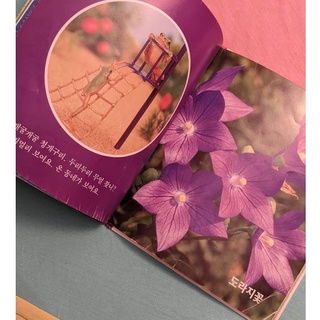 Livros Infantis (livros coreanos) (6)