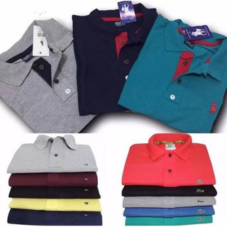 5 Camiseta MASCULINA GOLA Polo de Marca Peças variadas bordadas
