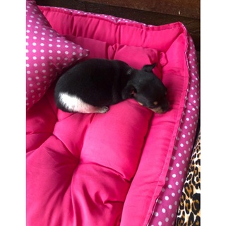 CAMA PET caminha de cachorro caminha para gatos cama de cachorro cama para gatos bolinha rosa (7)