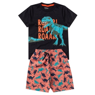 Conjunto Infantil Masculino Roupa Verão Camiseta e Bermuda Menino