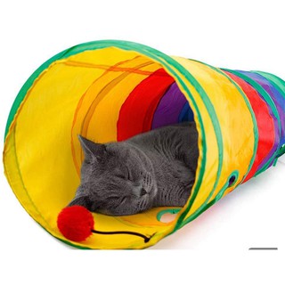 Brinquedo Interativo Para Gatos Pets Túnel Labirinto Colorido (2)