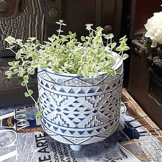 Vaso Decorativo Vasinho Cachepot com Pés Rose Gold Azul com Branco Moderno Grande Sem Planta (5)