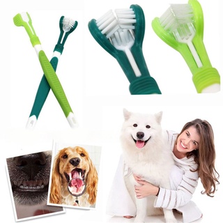 Dentes de cachorro limpando escova de dente cuidados dentários (1)