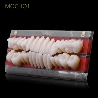 Mocho1 1 Durável Dentes De Alta Qualidade Modelo Conjunto 24 Pçs / Set Dentaduras Cores Materiais Dental 24 # Dentes Resina / Multicolor
