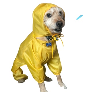 Capa de Chuva para Cachorro modelo Macacão - Capa de Chuva Pet (1)
