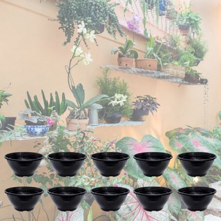 Kit com 10 Vasos Plásticos Cuia 18 Preto Plantas Pendentes Rosa Do Deserto Samambaias ( pronta entrega mesmo).