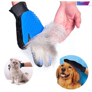 Luva Clean Glove tira pelos de cães e gatos