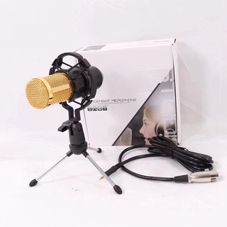 Microfone Estúdio Profissional Condensador Andowl Bm-800 T41 (1)