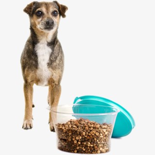 Pote Armazenador De Ração Com Pá e capacidade de 1kg - para Cachorro Gato e outros animais domésticos (4)