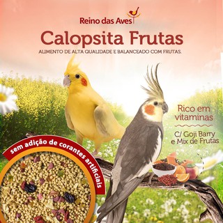 Kit Reino das Aves - Extra Gold Calopsita Frutas 400g + Farinhada R.A Criador Parrots 400g (4)