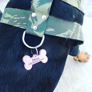 kit 10 Dog tag para sublimação! (não é personalizado)