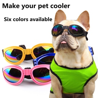 Óculos De Sol De Sol Dobrável À Prova De Vento Para Cães E Gatos