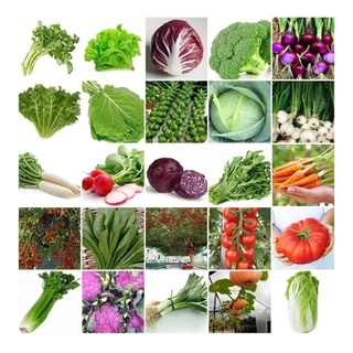 Hortaliças, Frutas, Temperos e Ervas,Sem Agrotóxicos (1)