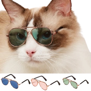 Óculos Aviador para Gatos e Cachorros Pequenos | Ronrom Pet